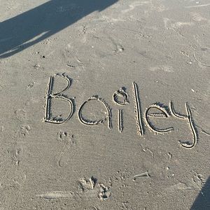 Meet your Posher, Bailey